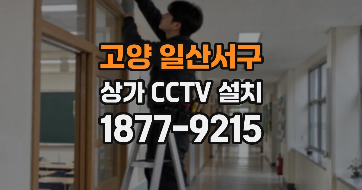 고양 일산서구 상가 CCTV 설치