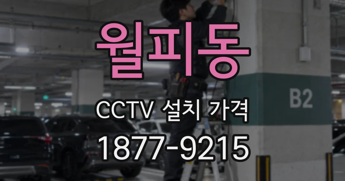 월피동 CCTV 설치 가격
