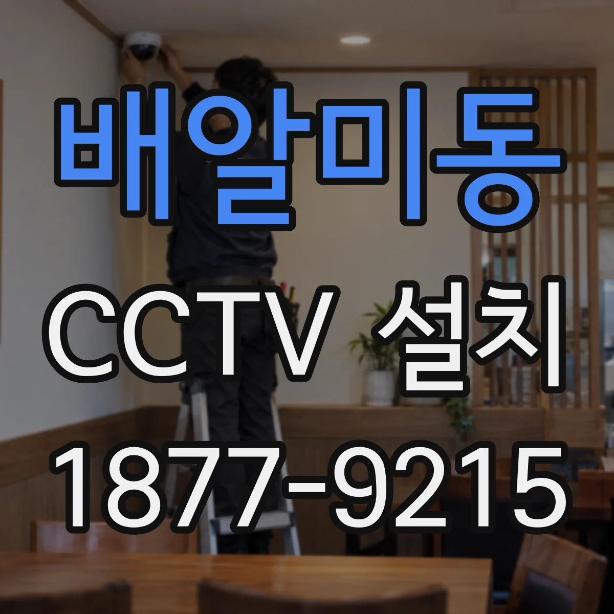 배알미동 CCTV 설치