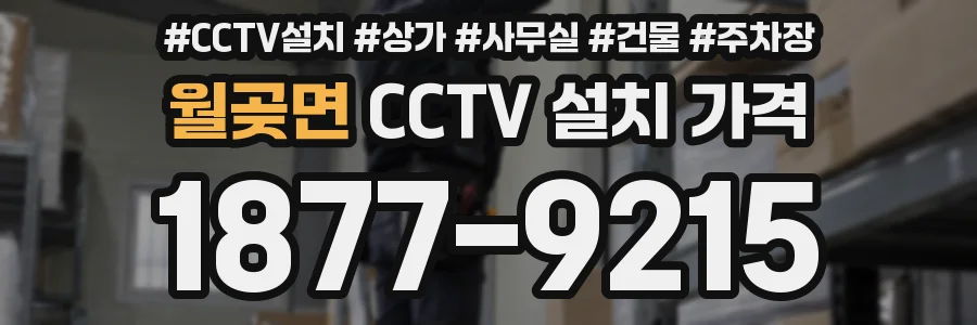 월곶면 CCTV 설치 가격