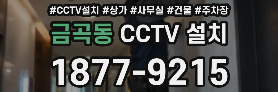 금곡동 CCTV 설치