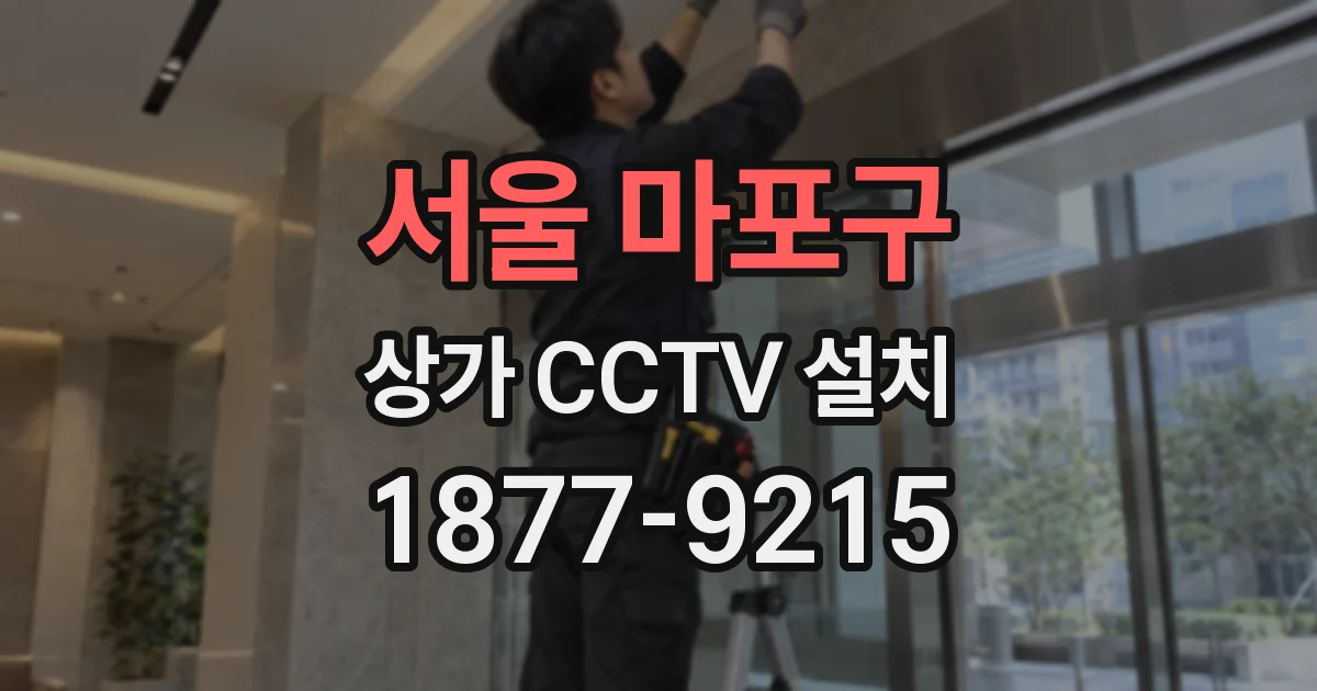 서울 마포구 상가 CCTV 설치