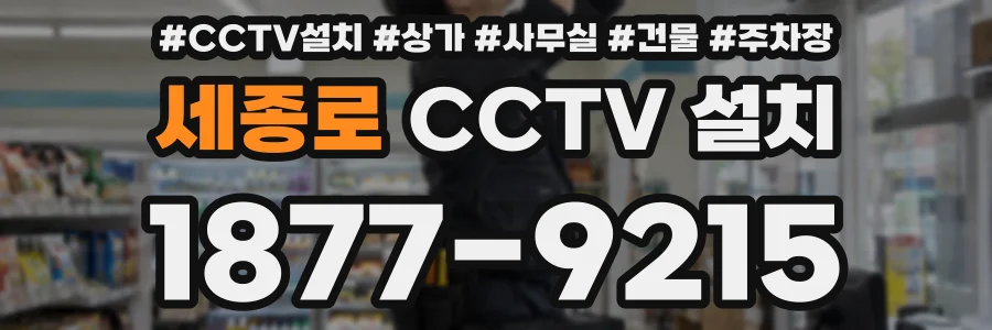 세종로 CCTV 설치