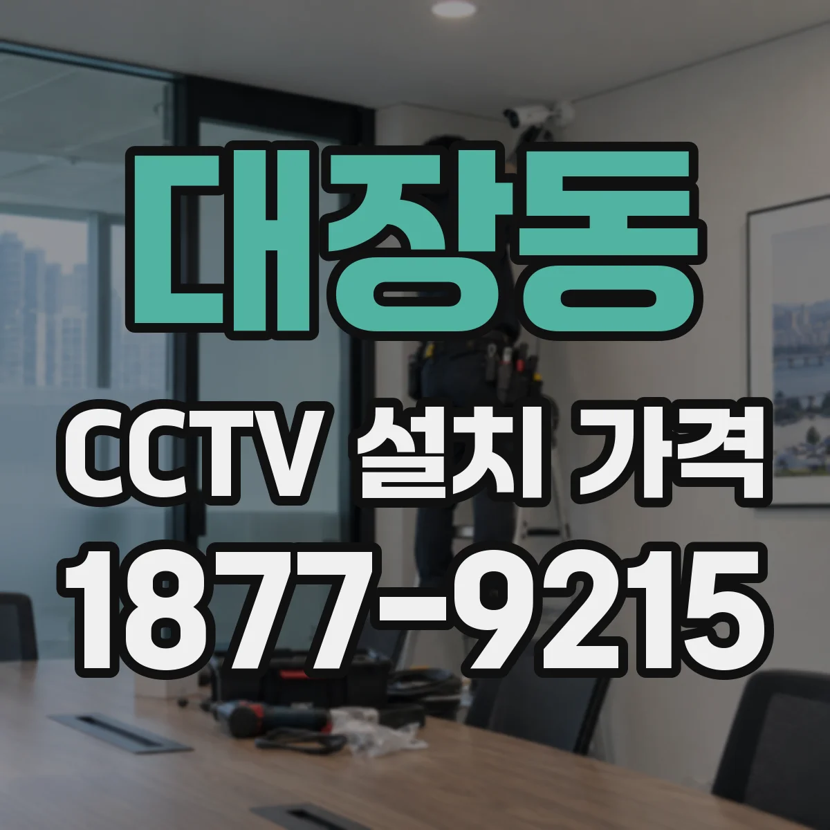 대장동 CCTV 설치 가격