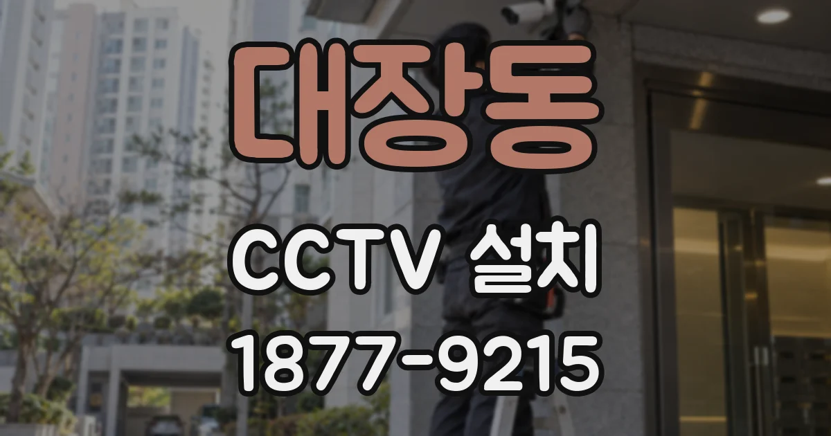 대장동 CCTV 설치