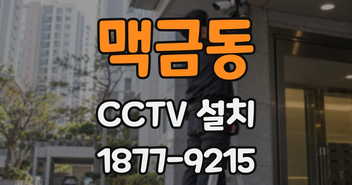 맥금동 CCTV 설치