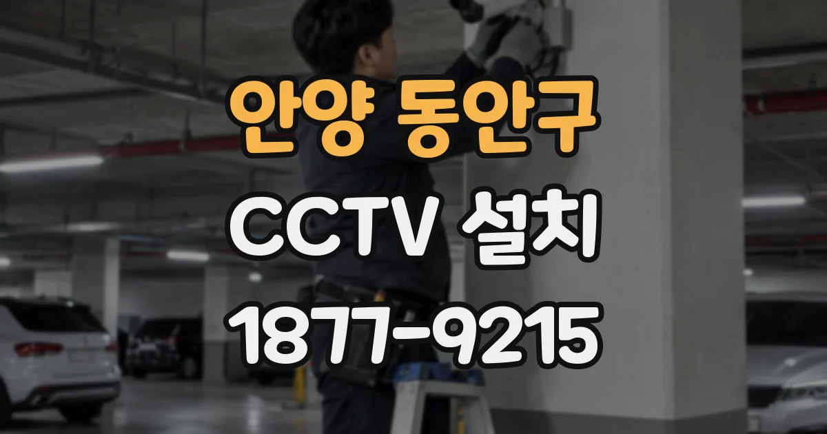 안양 동안구 CCTV 설치