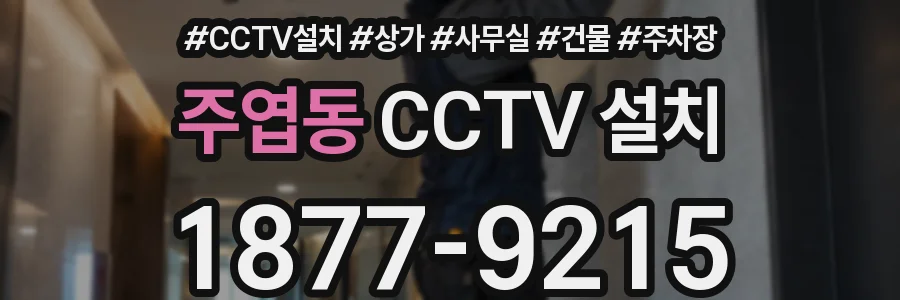 주엽동 CCTV 설치