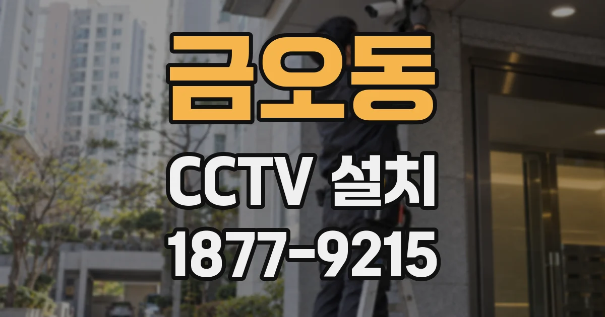 금오동 CCTV 설치