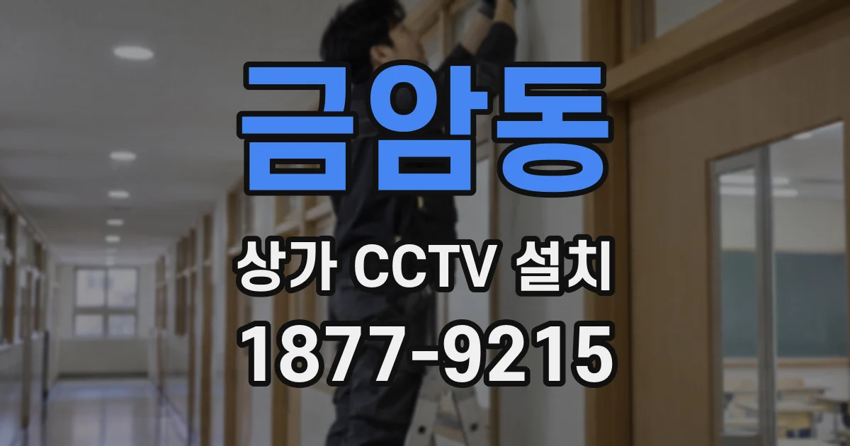 금암동 상가 CCTV 설치