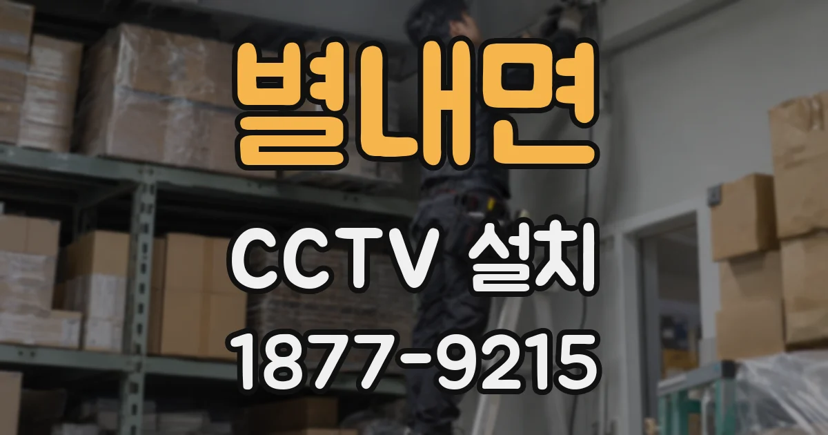 별내면 CCTV 설치