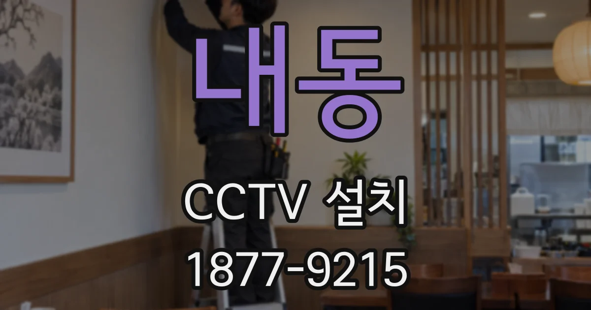 내동 CCTV 설치