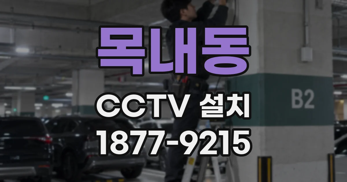 목내동 CCTV 설치