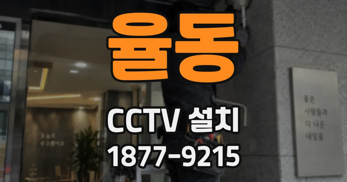 율동 CCTV 설치