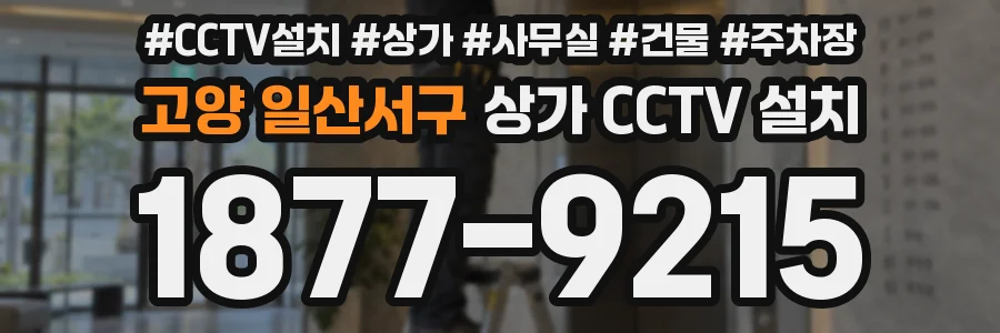 고양 일산서구 상가 CCTV 설치