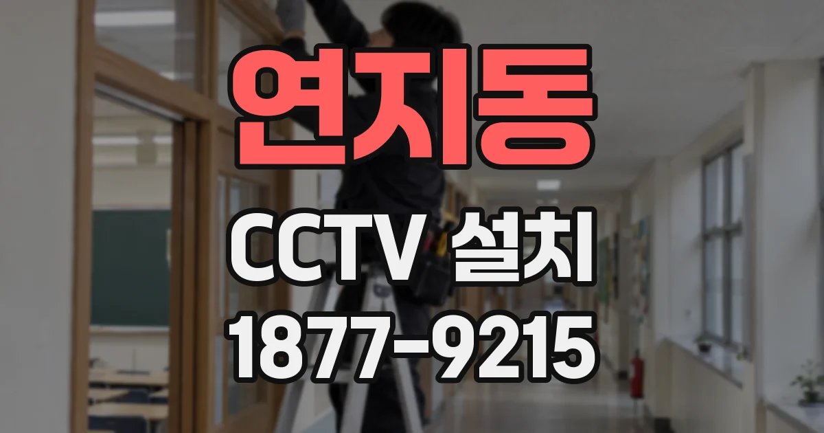 연지동 CCTV 설치