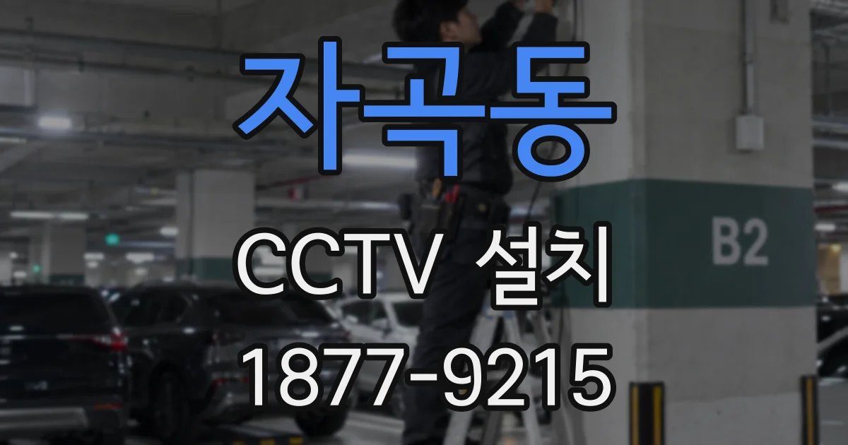 자곡동 CCTV 설치