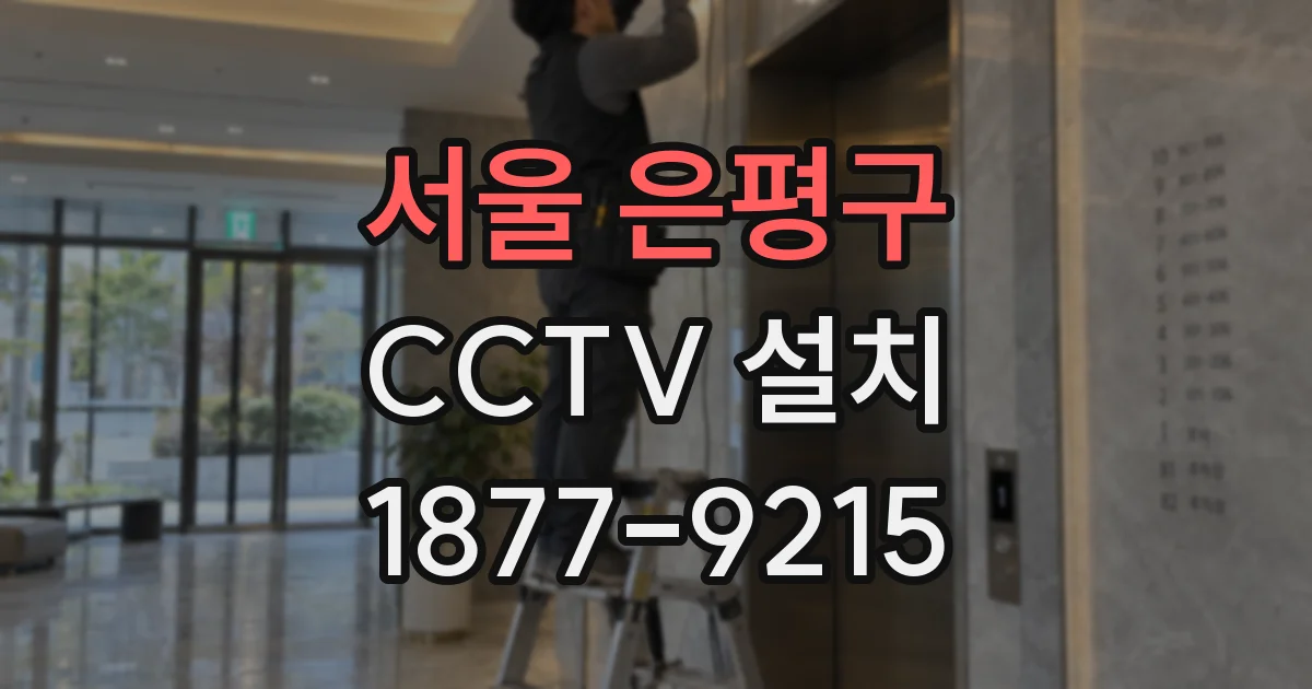 서울 은평구 CCTV 설치