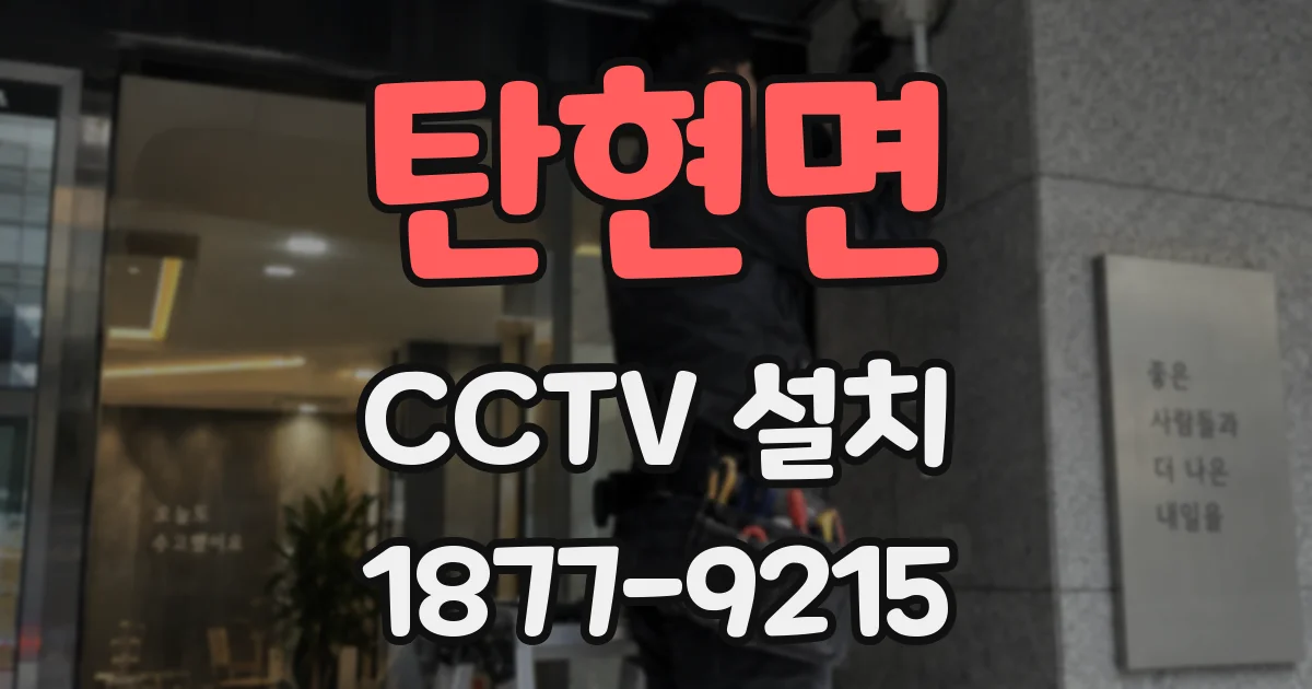 탄현면 CCTV 설치