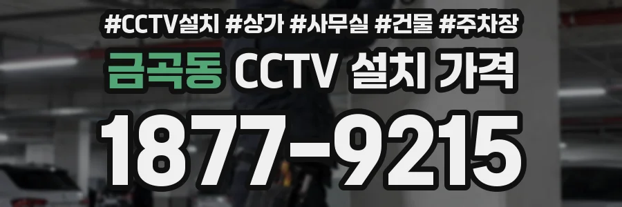 금곡동 CCTV 설치 가격