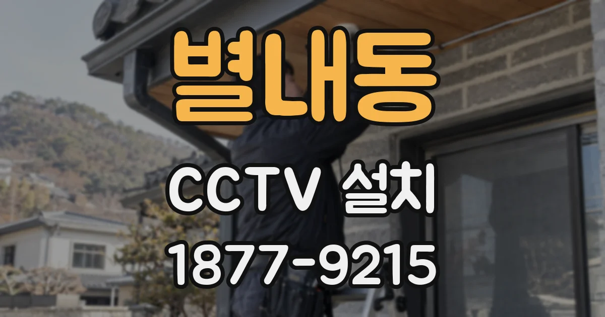 별내동 CCTV 설치