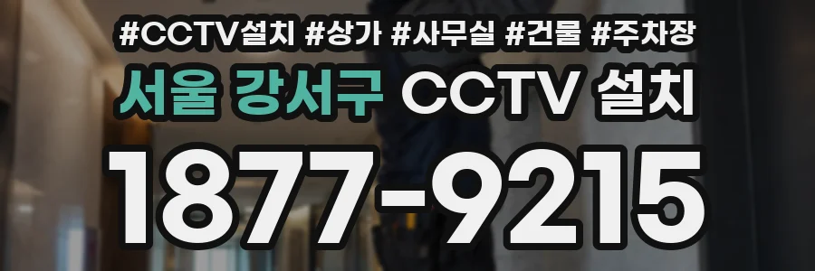 서울 강서구 CCTV 설치
