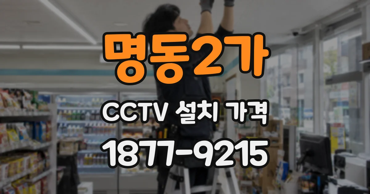 명동2가 CCTV 설치 가격
