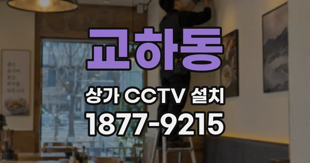 교하동 상가 CCTV 설치
