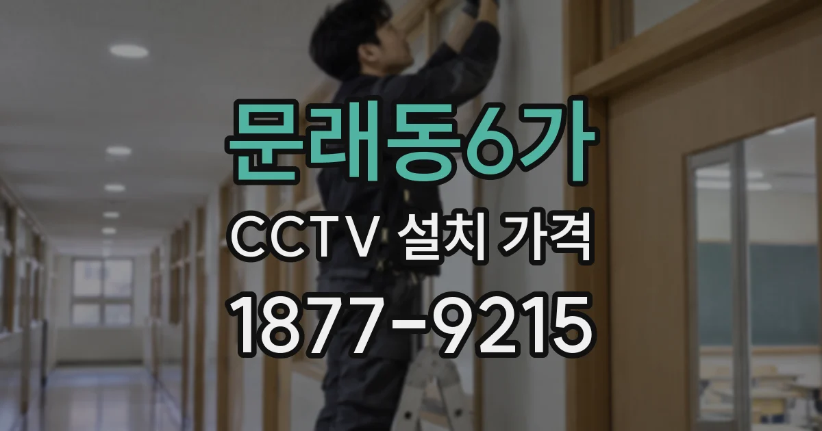 문래동6가 CCTV 설치 가격