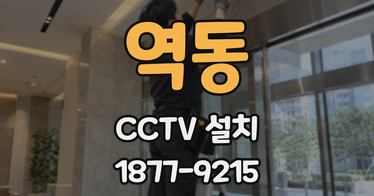 역동 CCTV 설치