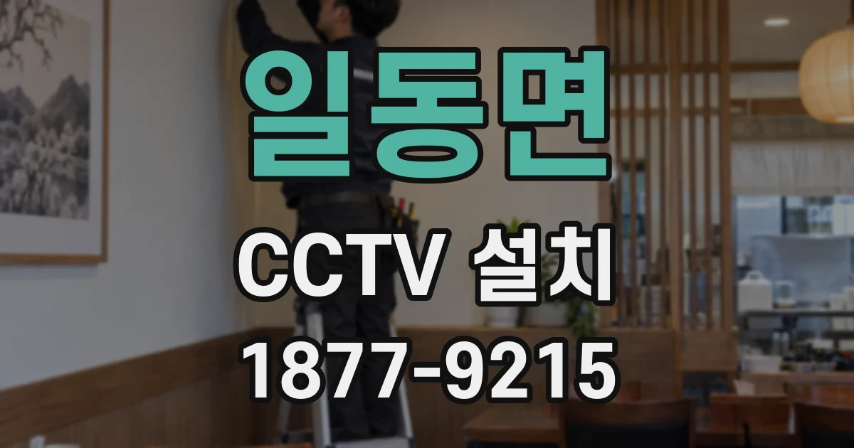 일동면 CCTV 설치
