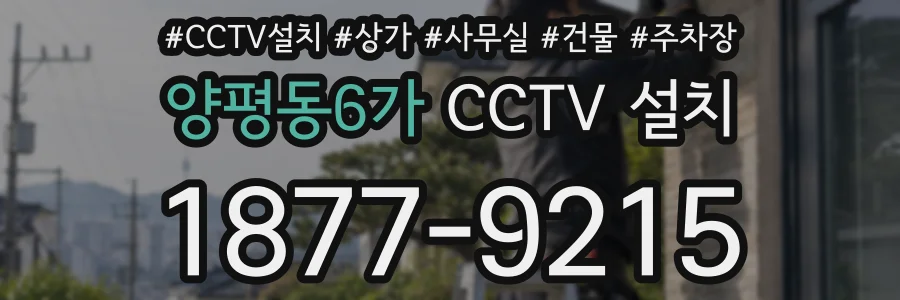 양평동6가 CCTV 설치