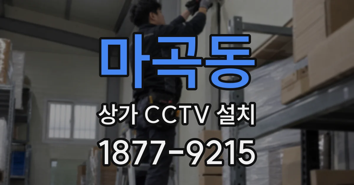 마곡동 상가 CCTV 설치