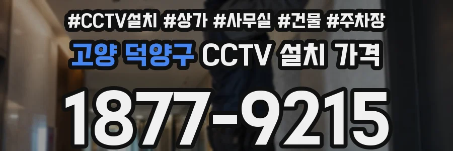 고양 덕양구 CCTV 설치 가격