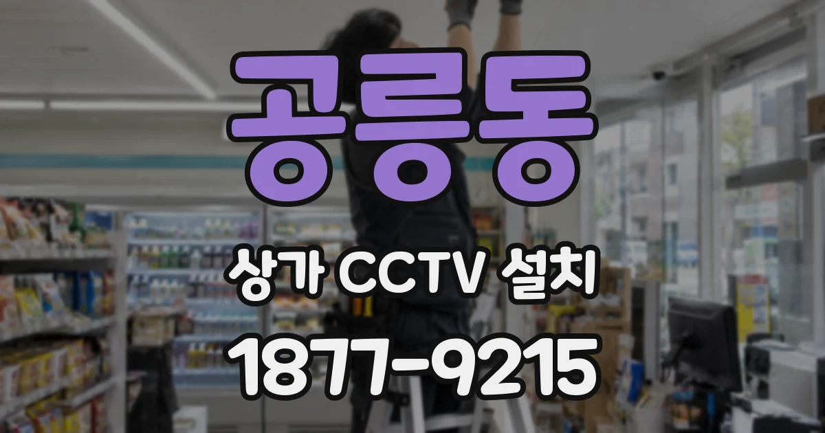 공릉동 상가 CCTV 설치