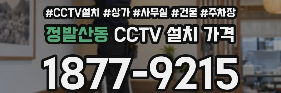 정발산동 CCTV 설치 가격