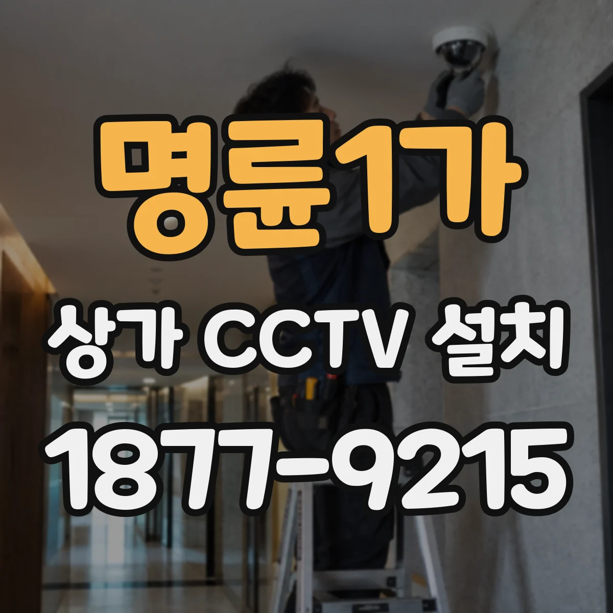 명륜1가 상가 CCTV 설치
