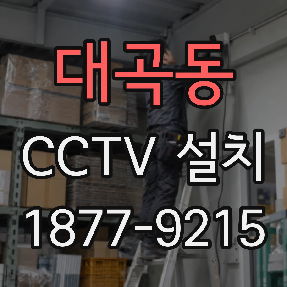 대곡동 CCTV 설치