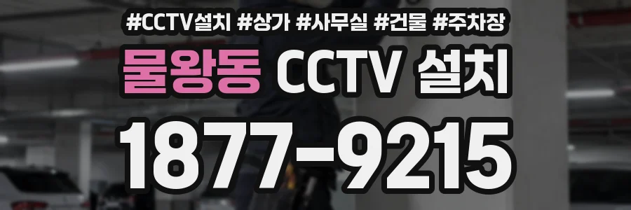 물왕동 CCTV 설치