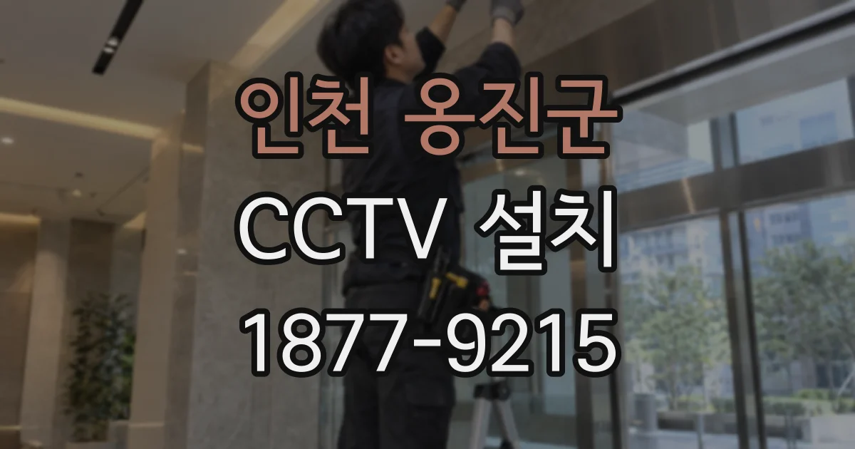 인천 옹진군 CCTV 설치