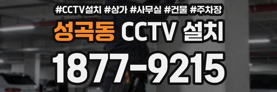 성곡동 CCTV 설치