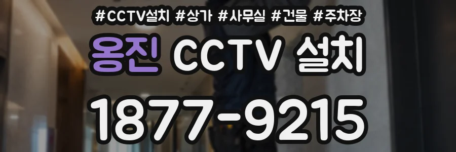 옹진 CCTV 설치