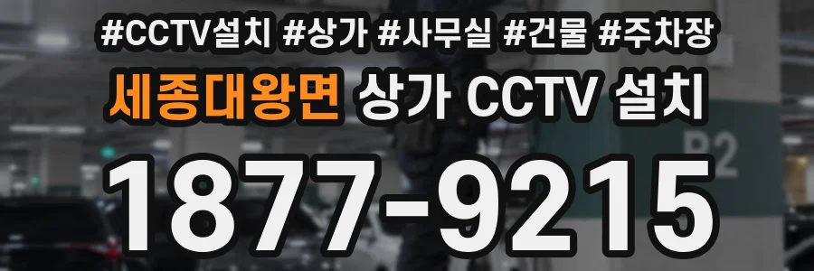 세종대왕면 상가 CCTV 설치