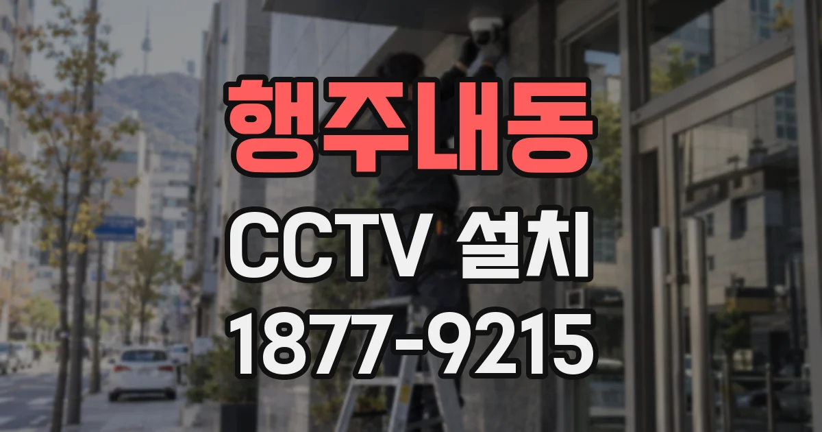 행주내동 CCTV 설치
