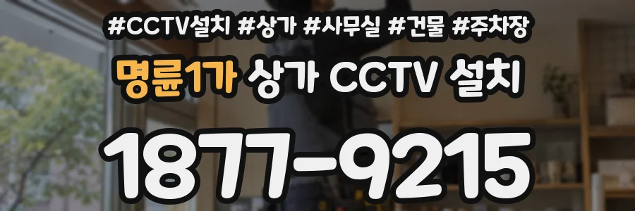 명륜1가 상가 CCTV 설치