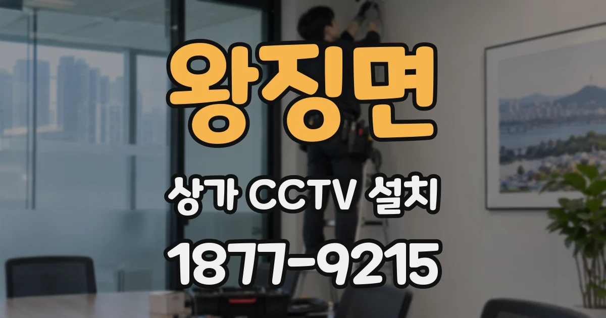 왕징면 상가 CCTV 설치