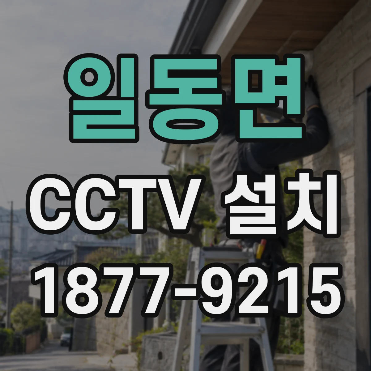 일동면 CCTV 설치