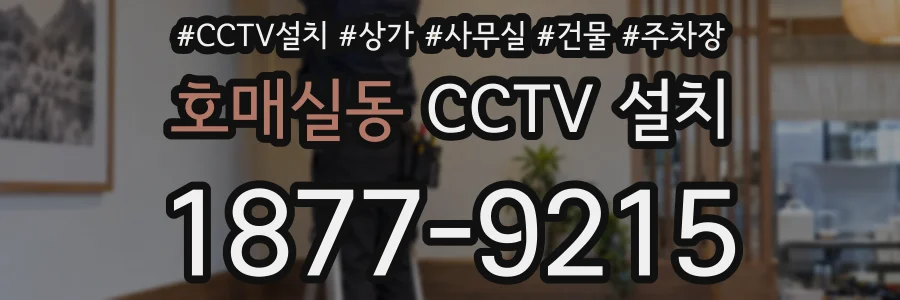 호매실동 CCTV 설치