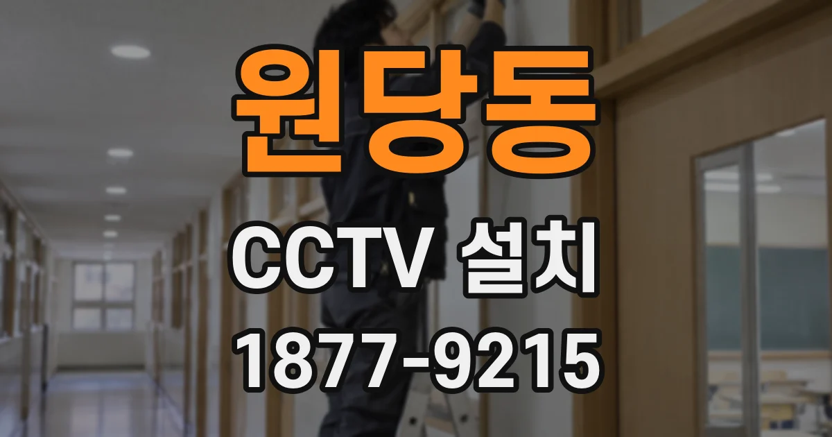 원당동 CCTV 설치