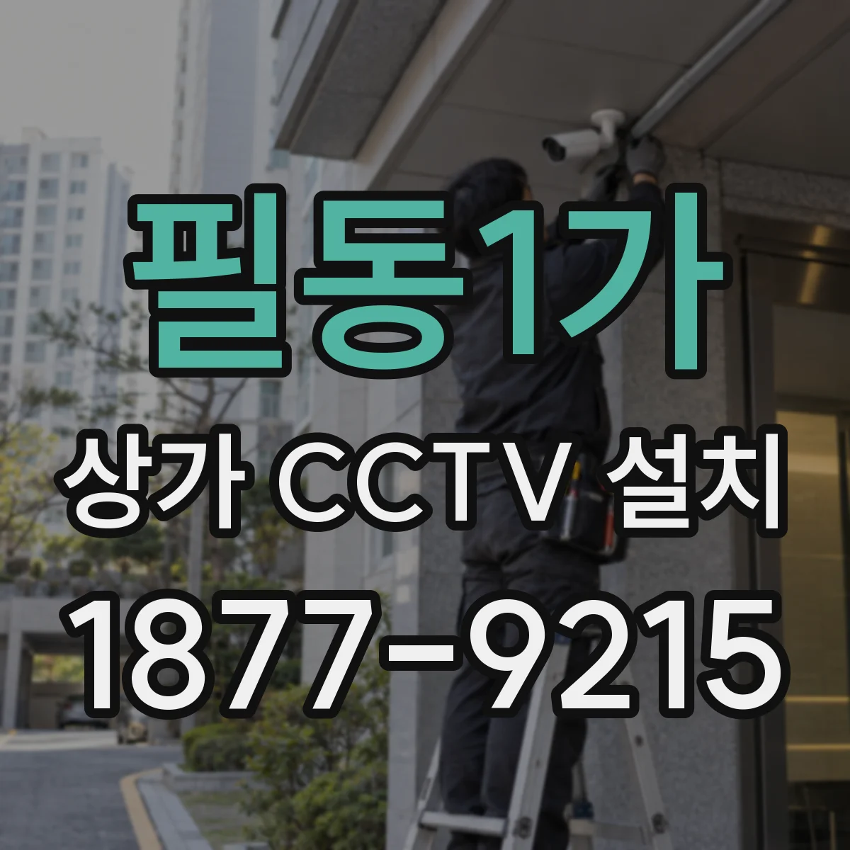 필동1가 상가 CCTV 설치